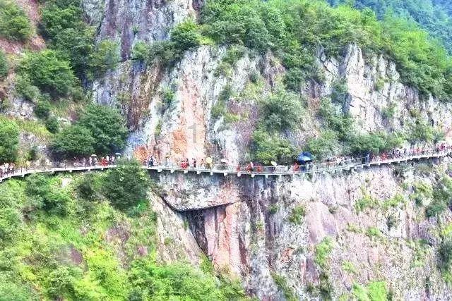 逃离棕榈树森林